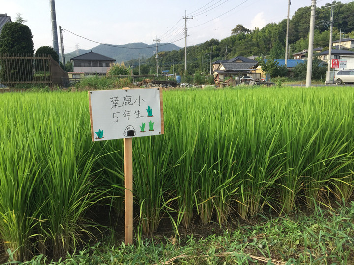 902ec49616404204ba653185d9572939