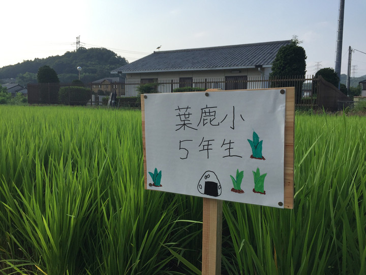 E1c51526b87d446c9aad7e027b6df2a1