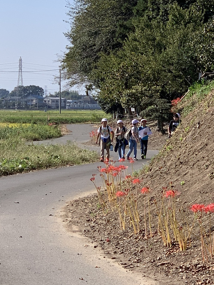 9e674275a1b6437fb20326bca1dd13bd