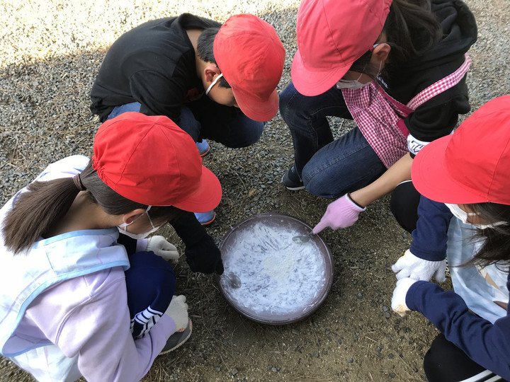 Edee96cf918248a082dd0e6d9f67533f