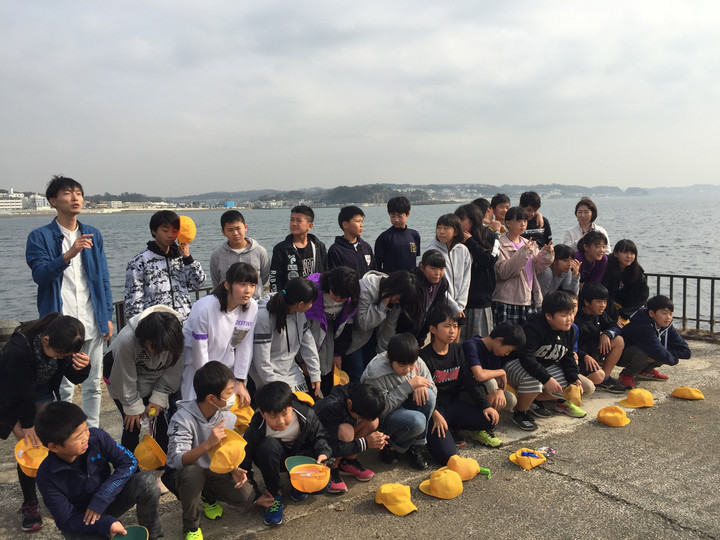 4c3febdef5064fa0914179fec32fd3fb