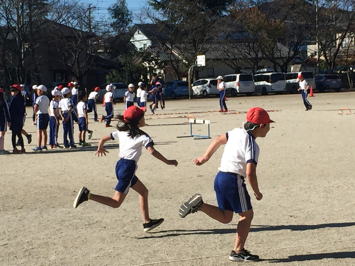 A24686e4eae34b2e90ee7b3ba78cbd29