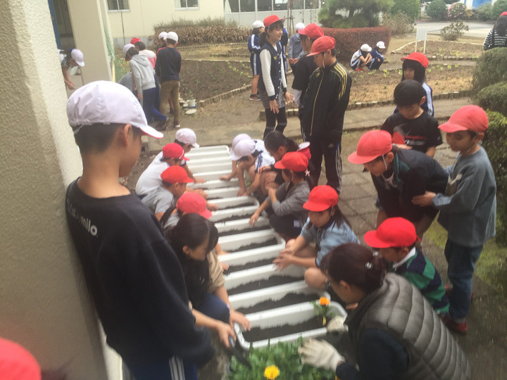 21214c7d529947e7ad2f8d19aba9bdbf