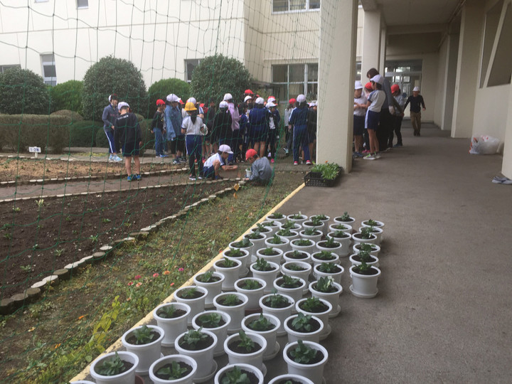 Db04d26ef46644f7af3b8d0baccc757e