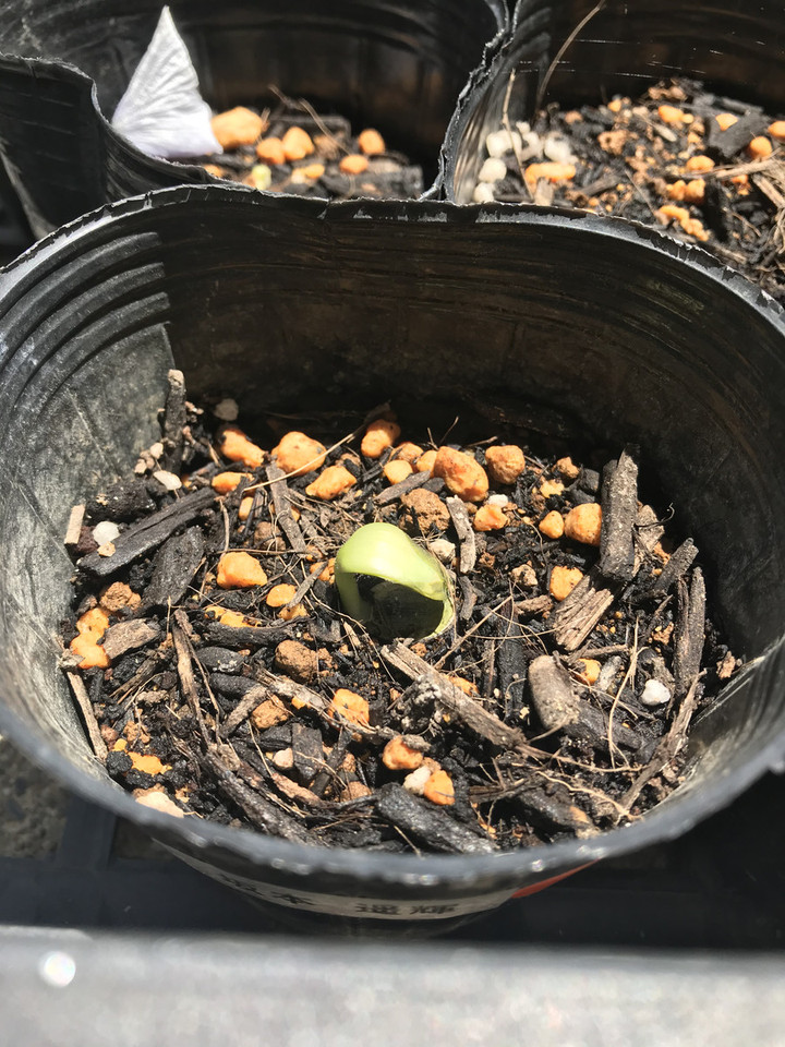 F228ed5bc956434cac234a348dbfad67