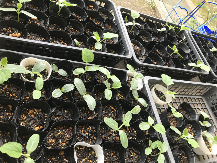 0b277f48c03d43baaed9e4dbe47d393e