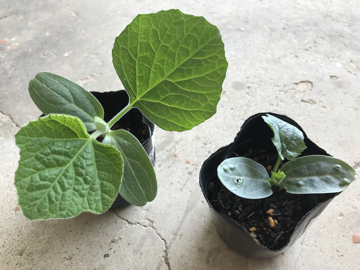 63a7ccfdd4a14e188aa8329c1b27d87b