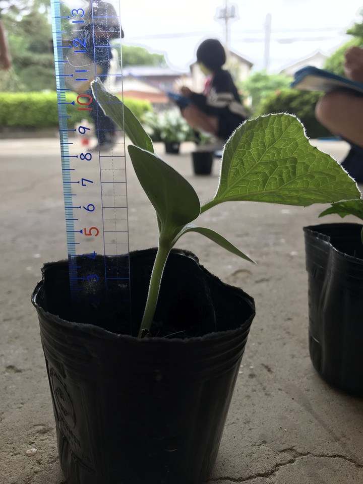 A36ccb260ded45cfaea608586a73c305