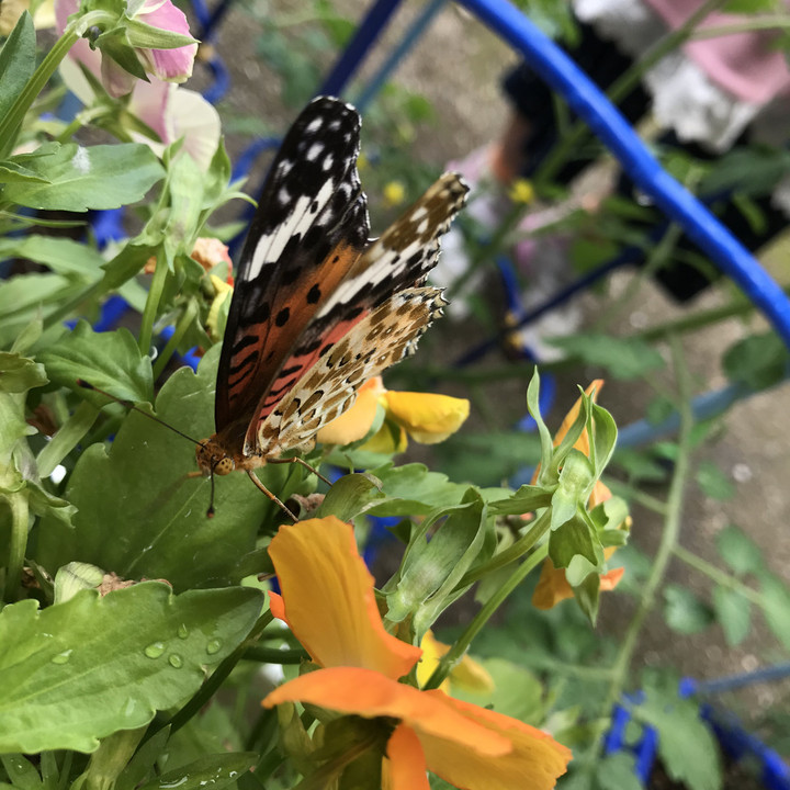 3cd04694b9df44719291152d8c405106