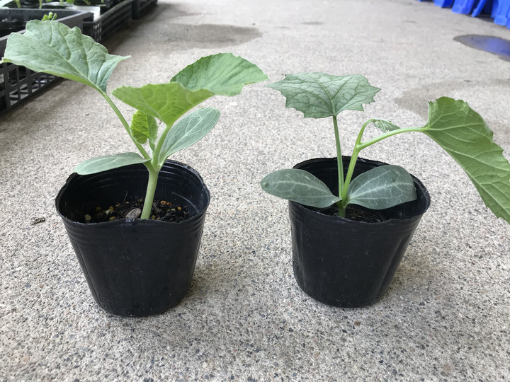 E3727623edeb4621a2f8af2006ccd6e2