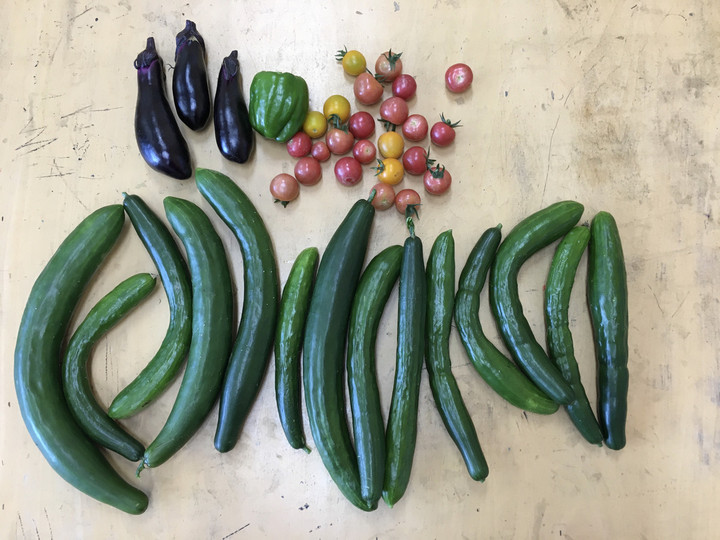 A0fabe508b684f679af16ec27f13db9a