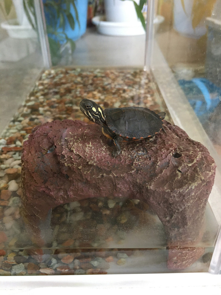 0b56153b268a408a99841915de27a887