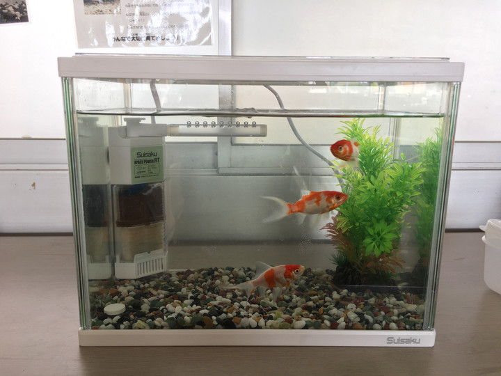 7a7e5e0316054f99a722bcc20f04be59