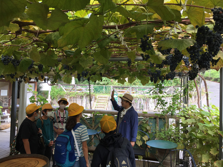 13a28fb3e5c940ca8c1cd2be0b64e316