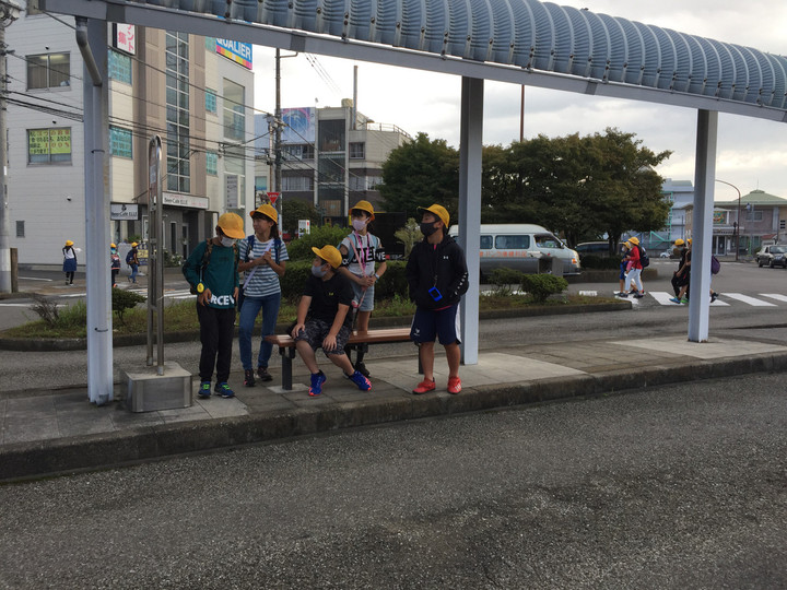 8e33facf3121412798a245a379d5766a