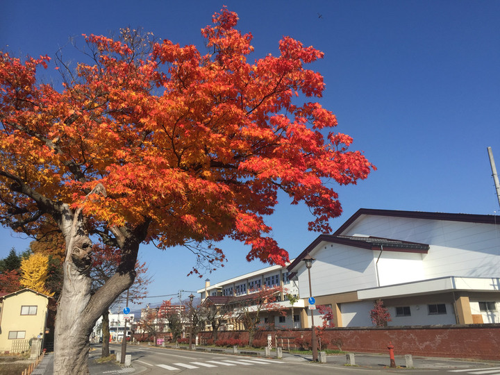 Ead3d33f6bb643ed9573090e3e6befc9