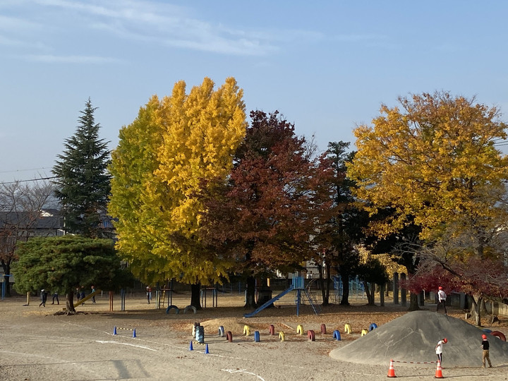 C2d30d392a4147e78a96675e2e3934e9