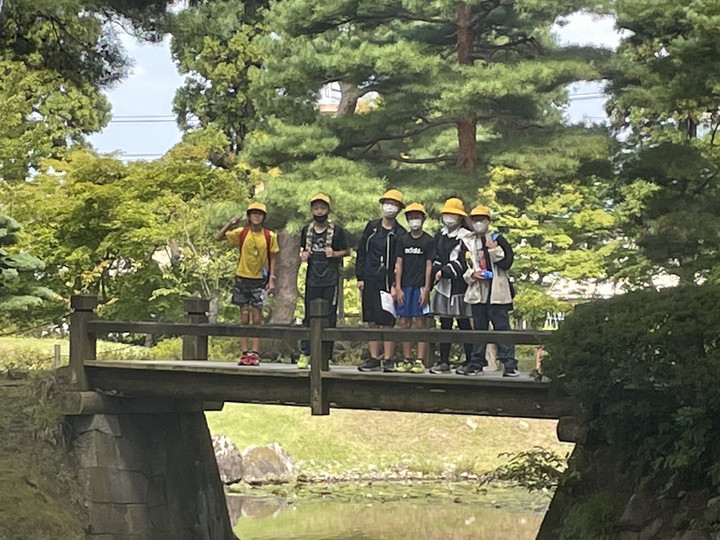 C11e6e9ac8694259bff279357d0ef5a6