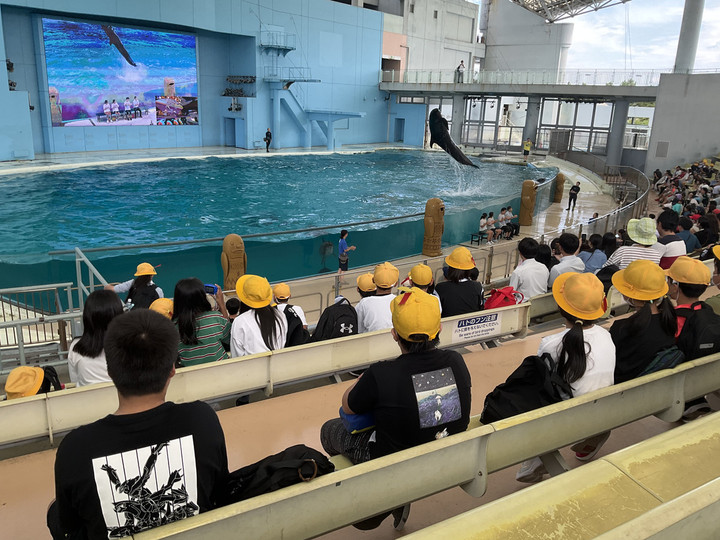 135faea2167b4775a9462fec0cb1a3a6