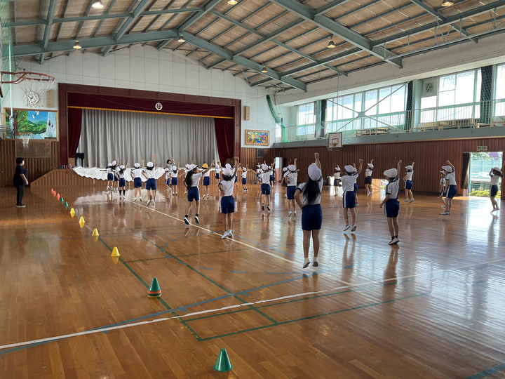 6e9d0b318d4a41de80c8c16dda1f212b