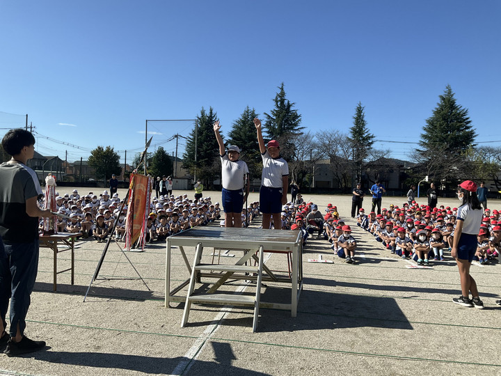 26c841bbc41049378e4439df0d85f8c4