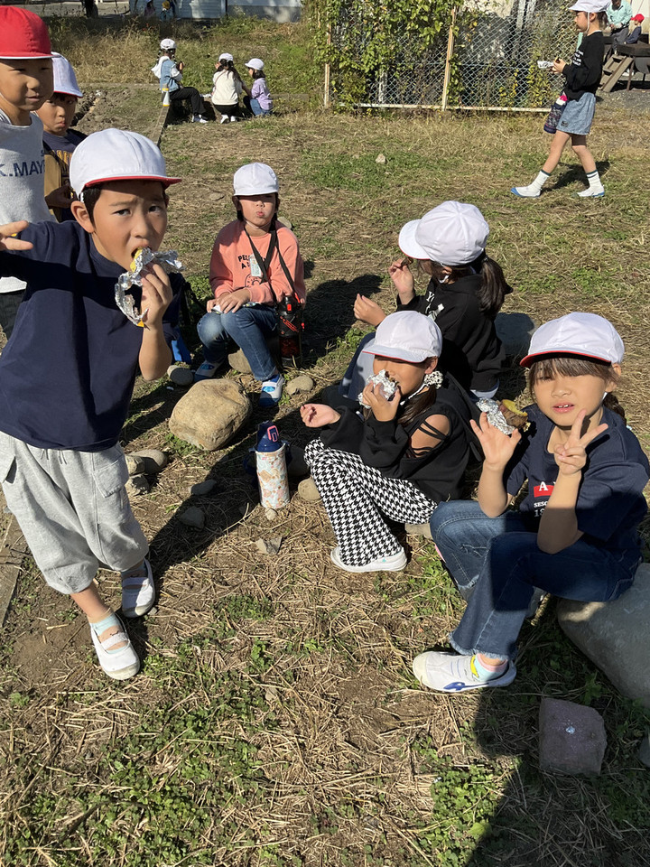 0950cd8a03bc4cf39365cc95fd7026b1